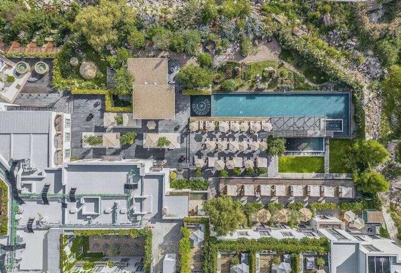 فندق Live Aqua San Miguel De Allende