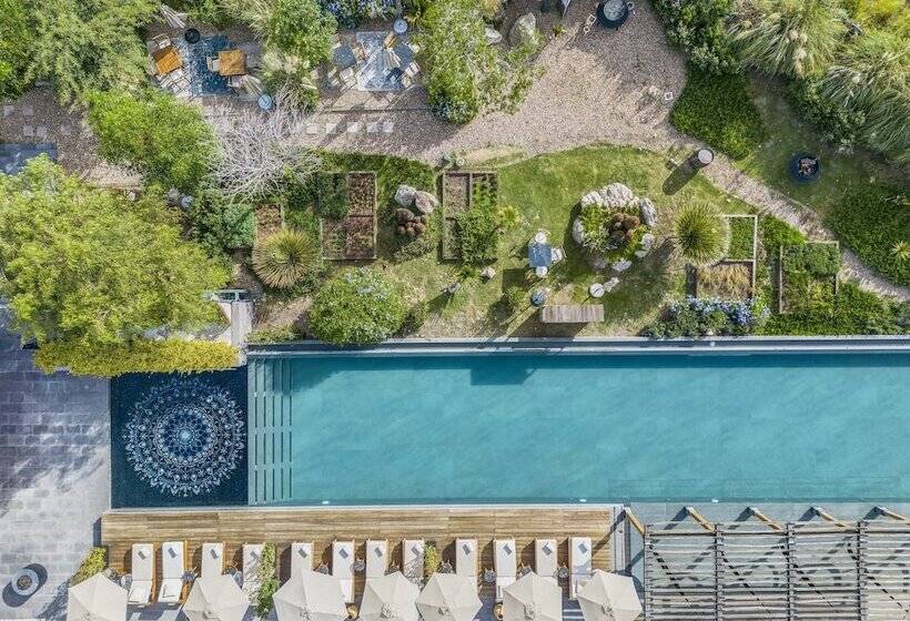 فندق Live Aqua San Miguel De Allende