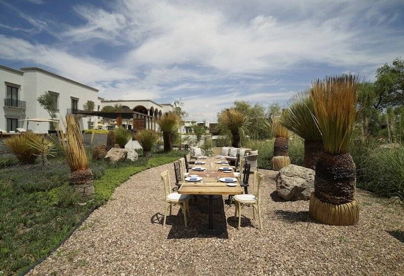 فندق Live Aqua San Miguel De Allende