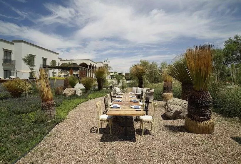 ホテル Live Aqua San Miguel De Allende