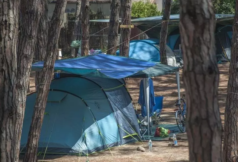 Hotelli Camping Village Mare Pineta