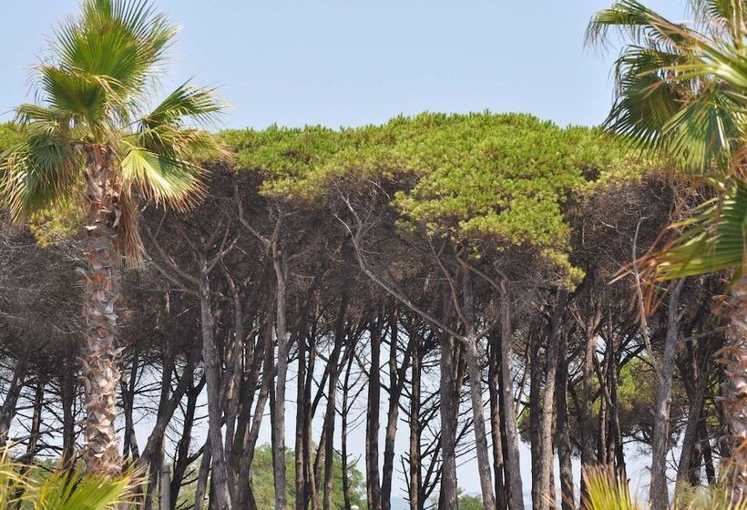 호텔 Camping Village Mare Pineta