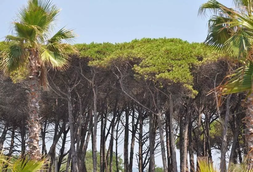 Hotelli Camping Village Mare Pineta