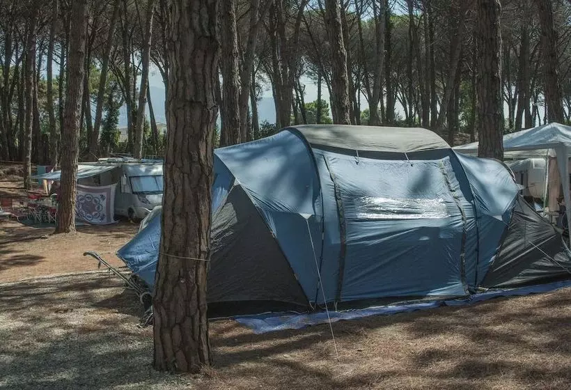 Hotelli Camping Village Mare Pineta