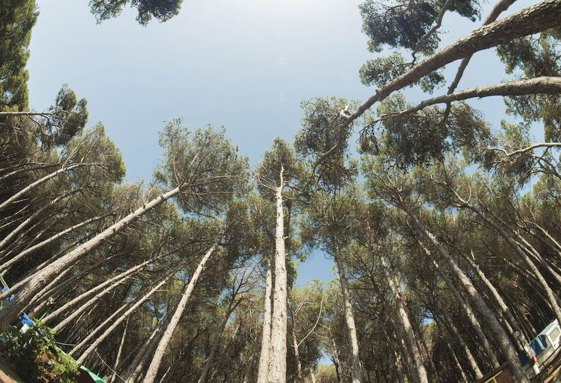 호텔 Camping Village Mare Pineta