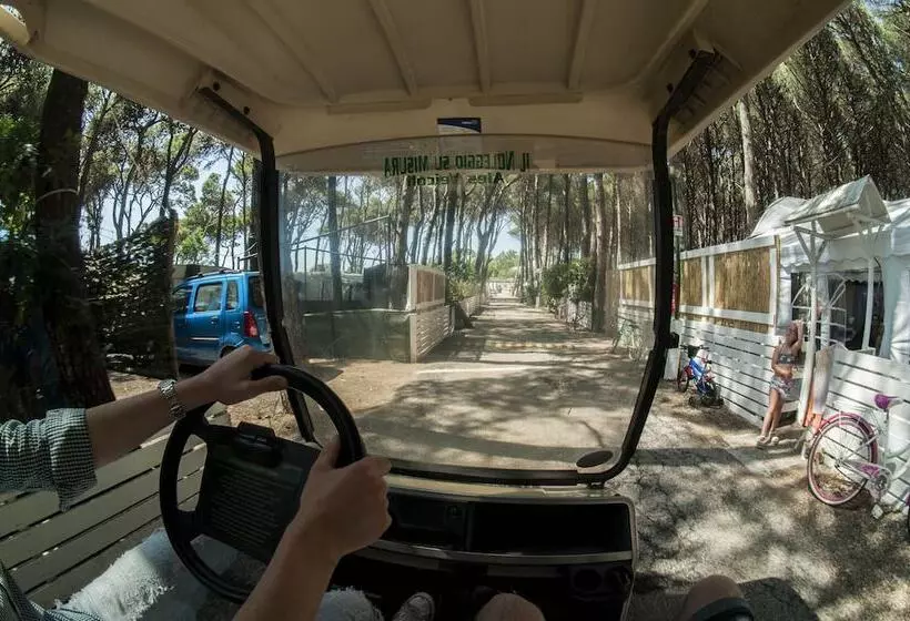 Hotelli Camping Village Mare Pineta