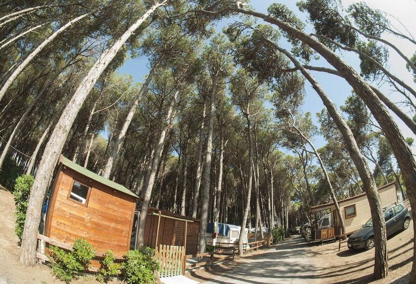 호텔 Camping Village Mare Pineta