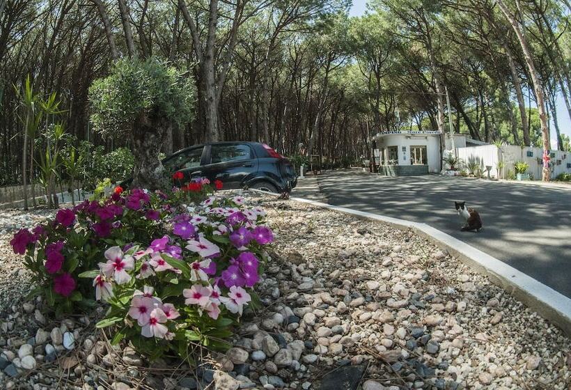 호텔 Camping Village Mare Pineta