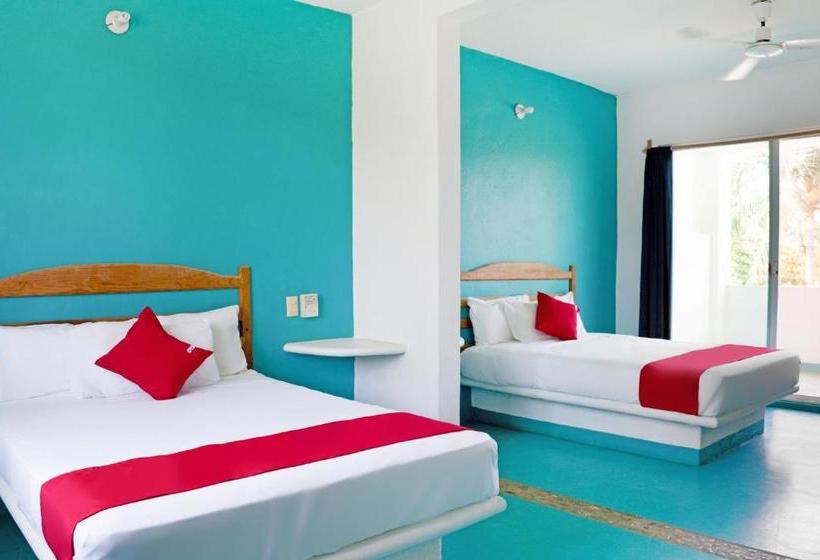 Szálloda Palapas Tortuga