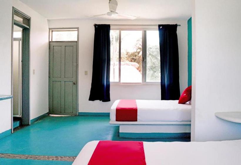 Szálloda Palapas Tortuga