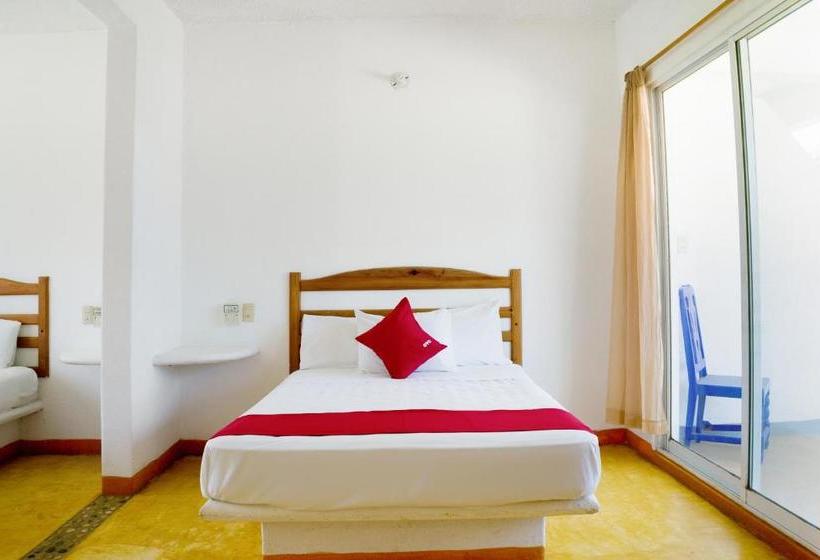 Szálloda Palapas Tortuga