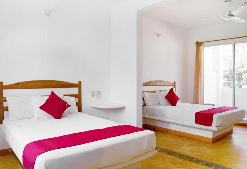 Szálloda Palapas Tortuga