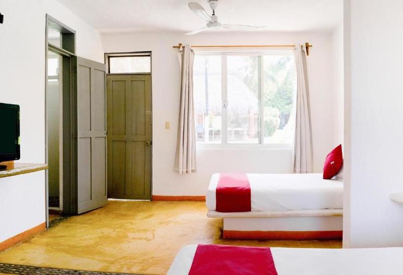 Szálloda Palapas Tortuga