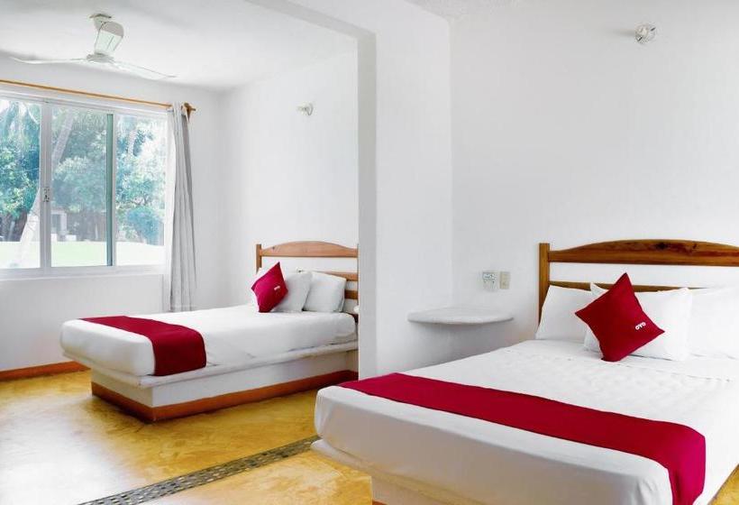 Szálloda Palapas Tortuga