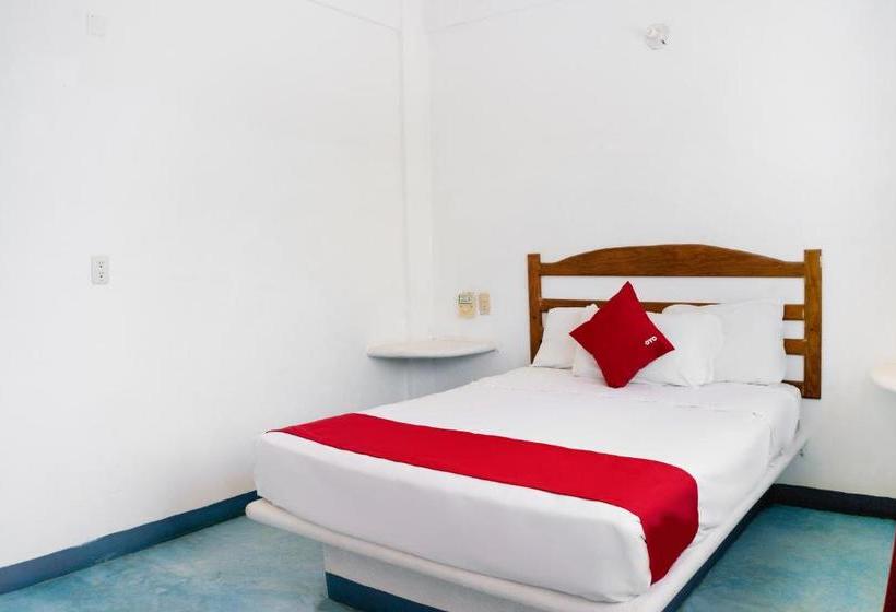 Szálloda Palapas Tortuga