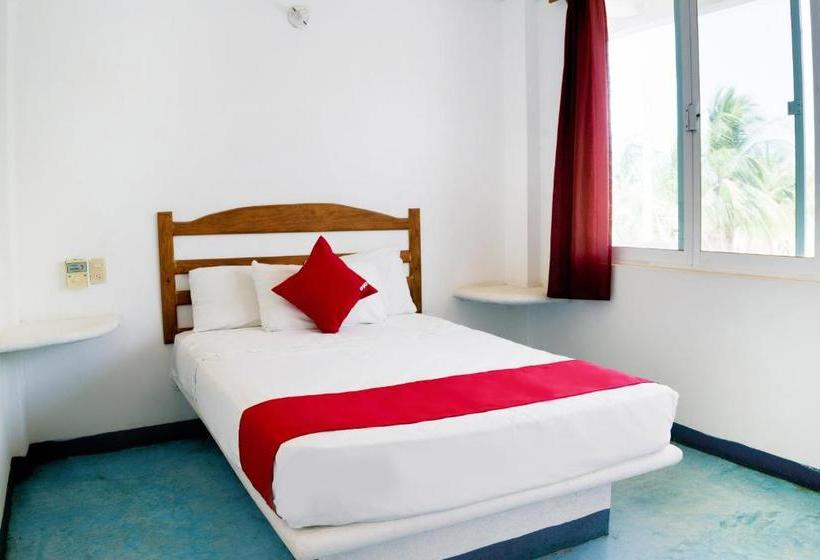 Szálloda Palapas Tortuga