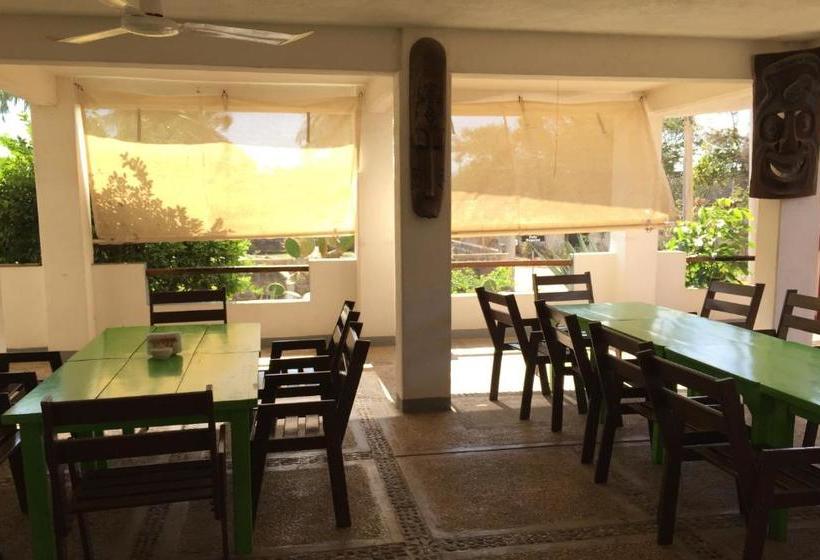 Szálloda Palapas Tortuga