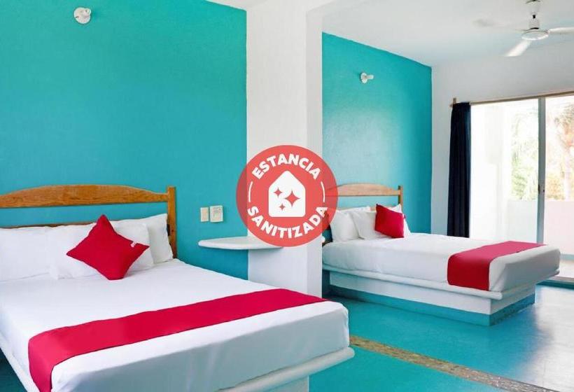 Szálloda Palapas Tortuga