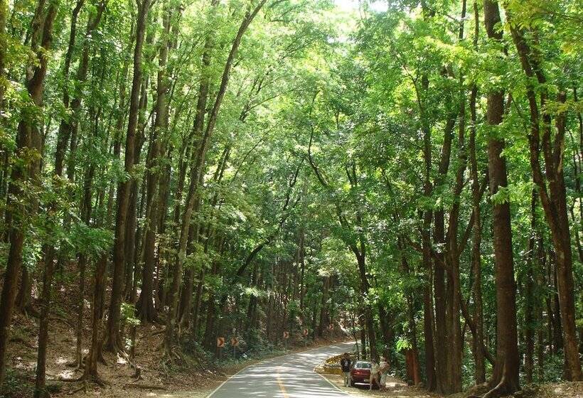 בית מלון כפרי Panglao Island Inn   Hostel