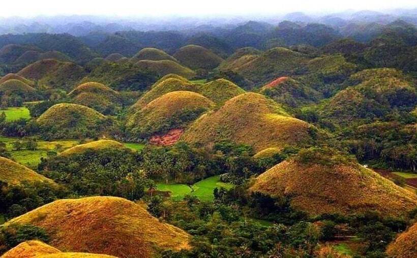 בית מלון כפרי Panglao Island Inn   Hostel