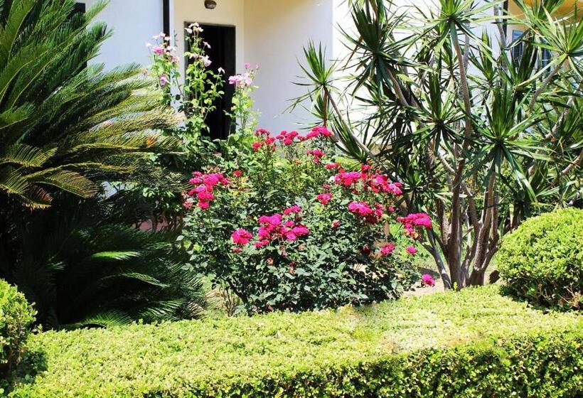 فندق B&b Il Cavaliere Tropea