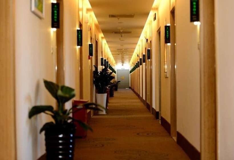 Hotel Greentree Inn Beijing Capital Airport T3 Xingang Express