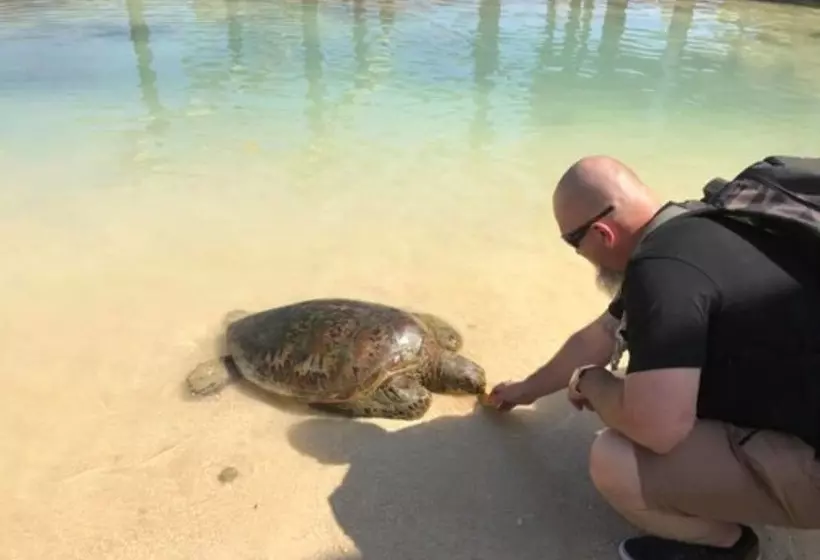 هتل Blue Bay Resort