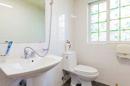 Tree S Dream Pension