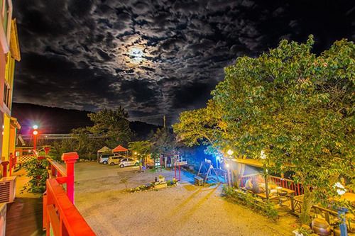 Tree S Dream Pension