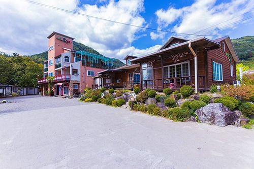 Tree S Dream Pension