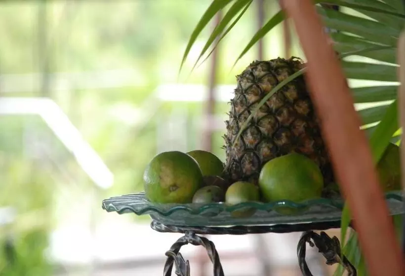 هتل Kiriri Garden