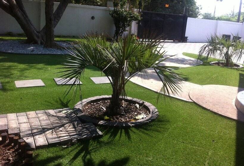 پانسیون Cosy Palms Guest House