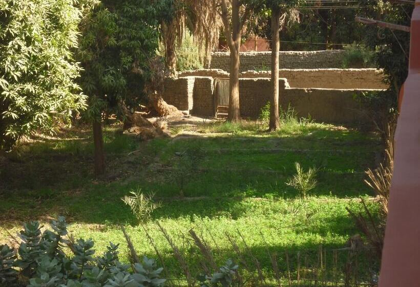 پانسیون El Prince Guesthouse