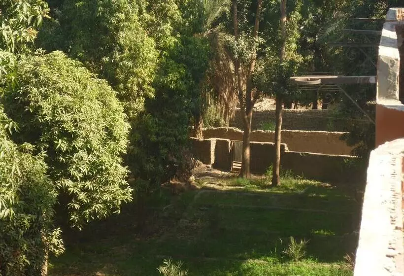 پانسیون El Prince Guesthouse
