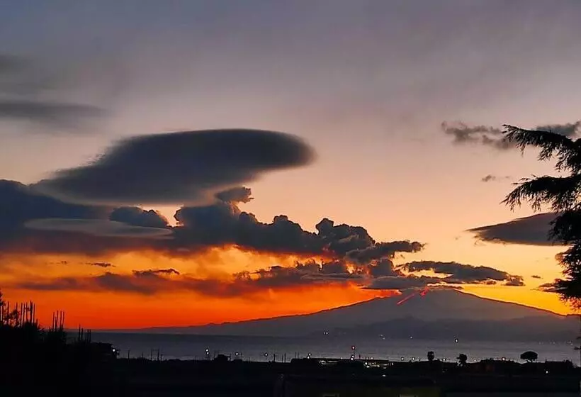 تختخواب و صبحانه Abacus