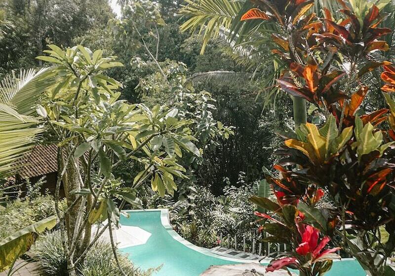 Bed and Breakfast Song Broek Jungle Resort