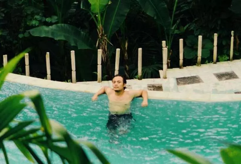 Aamiaismajoitus (B&B) Song Broek Jungle Resort