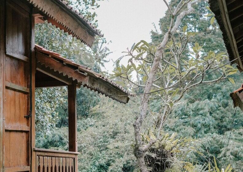 Bed and Breakfast Song Broek Jungle Resort