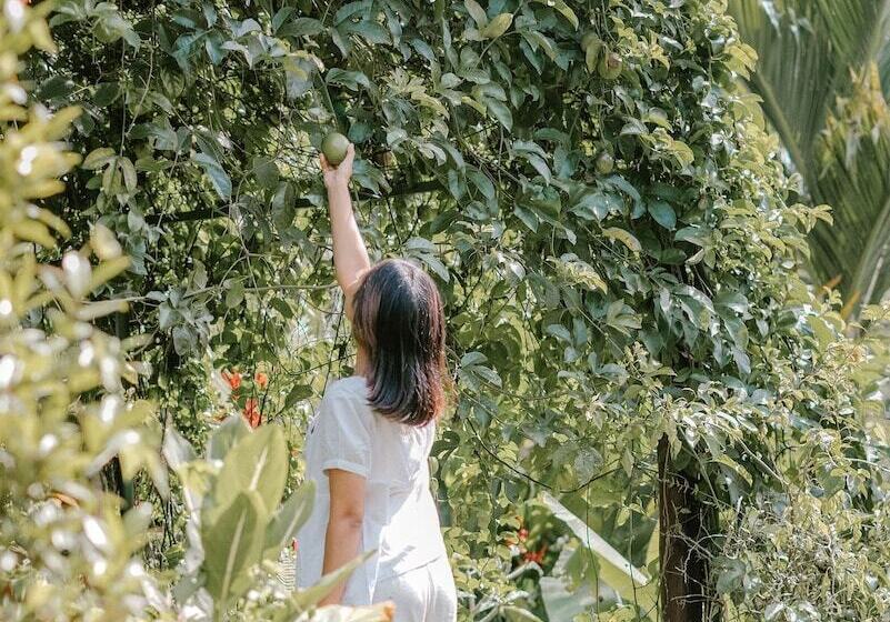 Bed and Breakfast Song Broek Jungle Resort