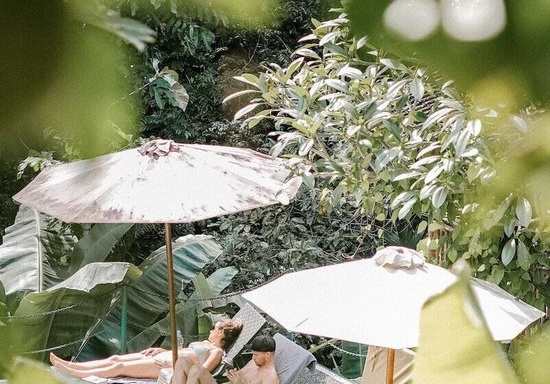 Bed and Breakfast Song Broek Jungle Resort