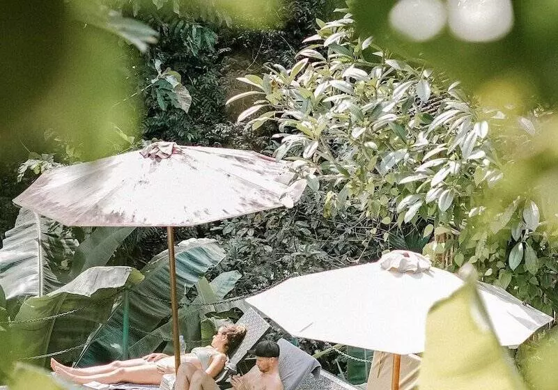 Aamiaismajoitus (B&B) Song Broek Jungle Resort