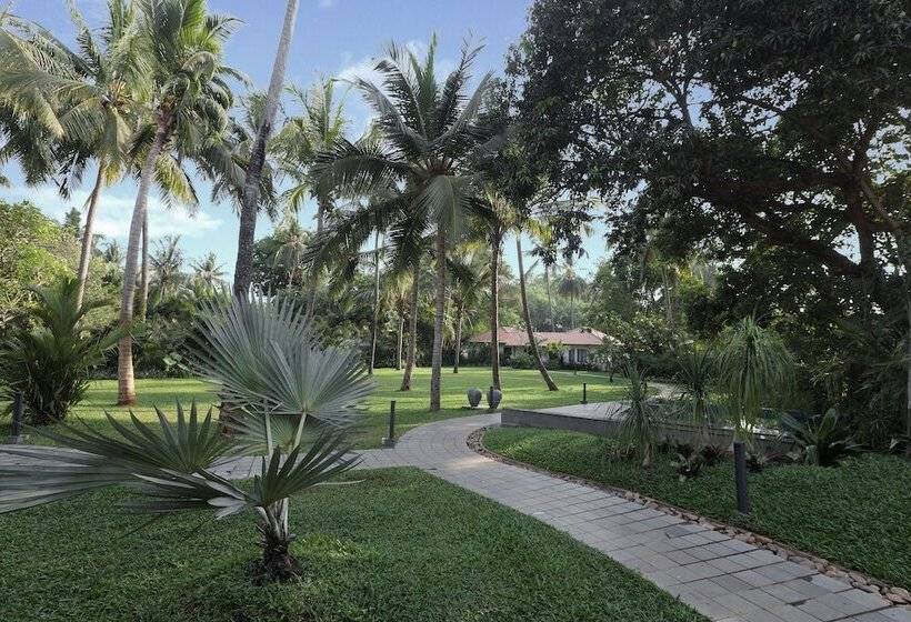 Отель Andores Resort And Spa   Calangute