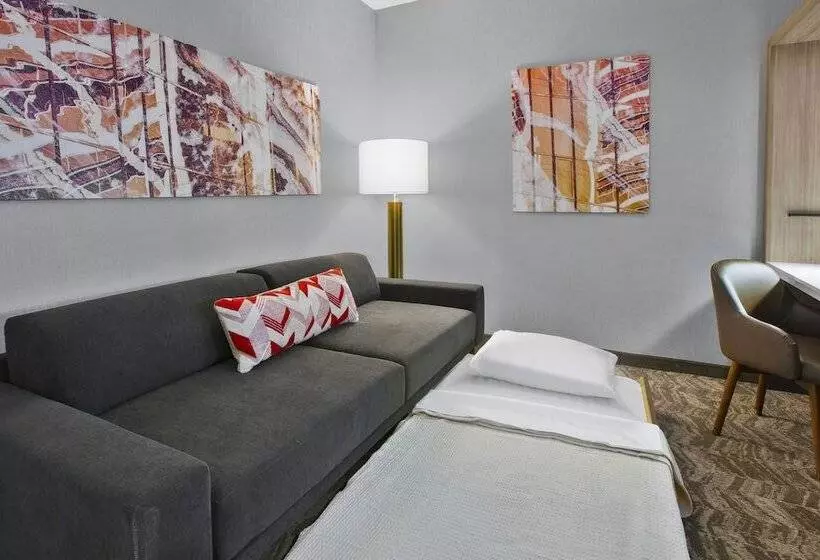 ホテル Springhill Suites By Marriott Chattanooga North/ooltewah