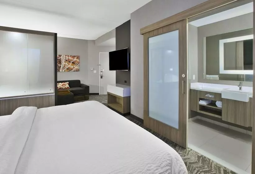 ホテル Springhill Suites By Marriott Chattanooga North/ooltewah