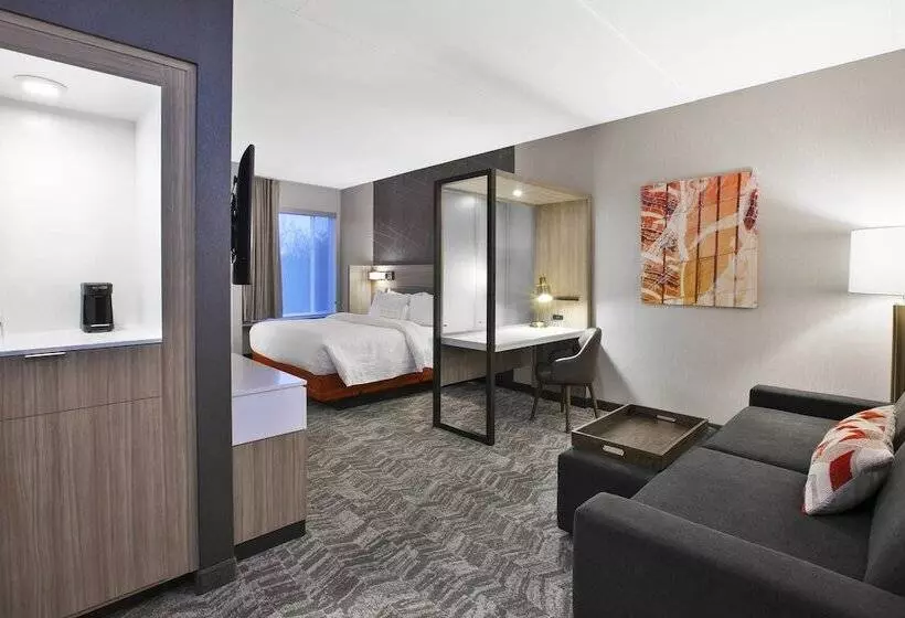 ホテル Springhill Suites By Marriott Chattanooga North/ooltewah