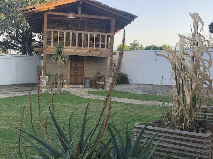 هتل Xamikal Adults Only