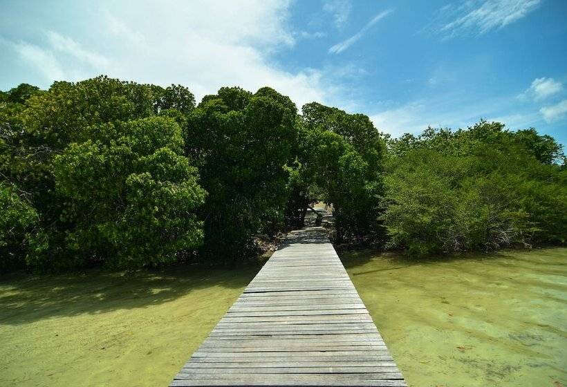 پانسیون Huraa East Inn