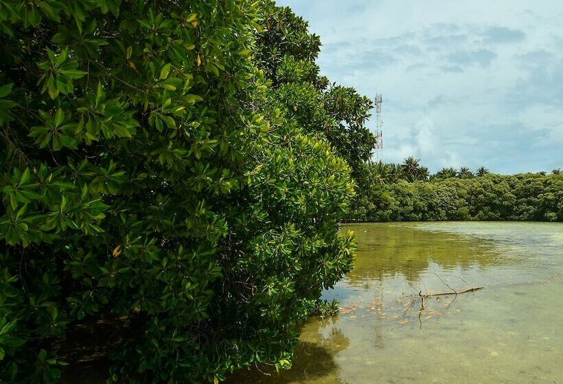 پانسیون Huraa East Inn