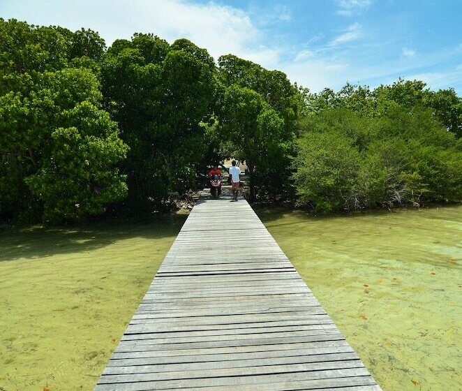 پانسیون Huraa East Inn