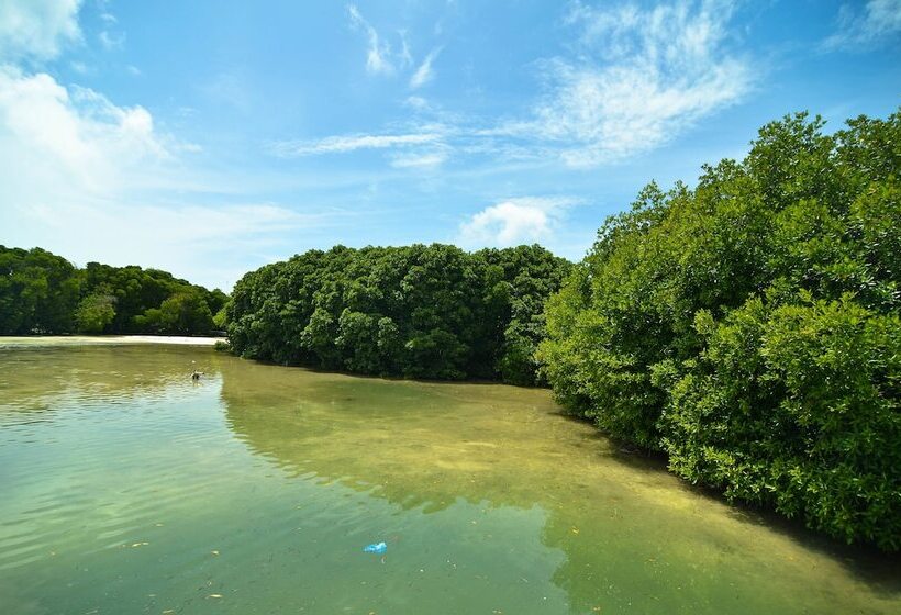 پانسیون Huraa East Inn